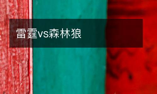 雷霆vs森林狼